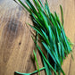 Oats (Whole) Grass - 5" Flat [Organic Seed]